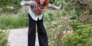 Girl dressed as circus master on stilts