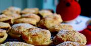 Image of homemade mine pies with a teddy robin in the background