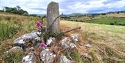 Ogham Stone