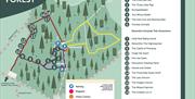 A green map of Pomeroy Forest showing yellow, blue and red routes through the Forest with a map key and numbers indicating the attractions along the r