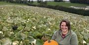 Image of a woman holding a pumpkin in a pumpkin patch