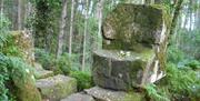 St Patricks Chair