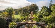 Image of a water feature outside surrounded by greenery