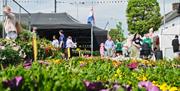 Dutch Flowers at Cookstown continental market