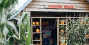 Hallowee'uns: Pumpkin house