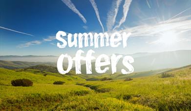 Summer offers