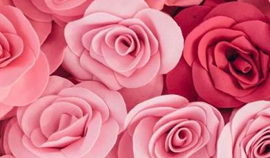 Valentine's offer Apparo