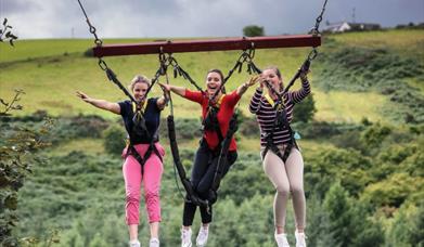 open park days at Todds Leap