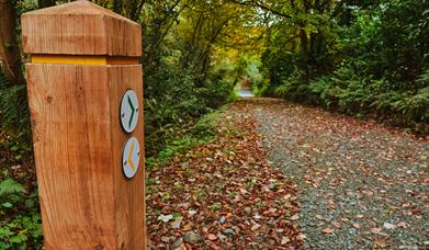 A wooden post with arrows directing walkers