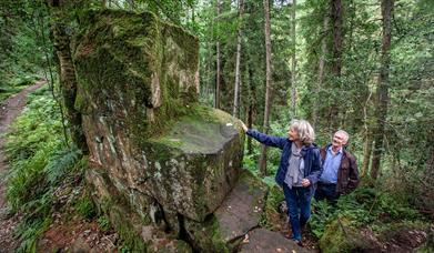 A couple standing in the forest at St.Patricks Chair