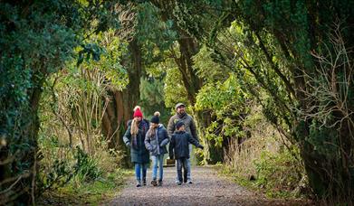 A family walking through Parkanaur Forest