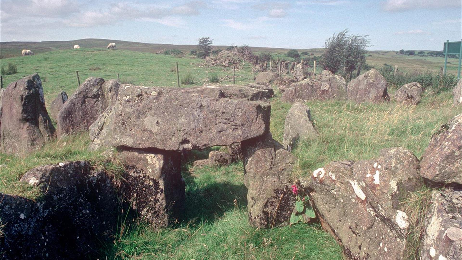 Image of the stones at Knockoneill Court Tomb