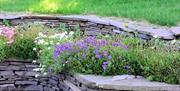 Colourful flower bed and stone wall