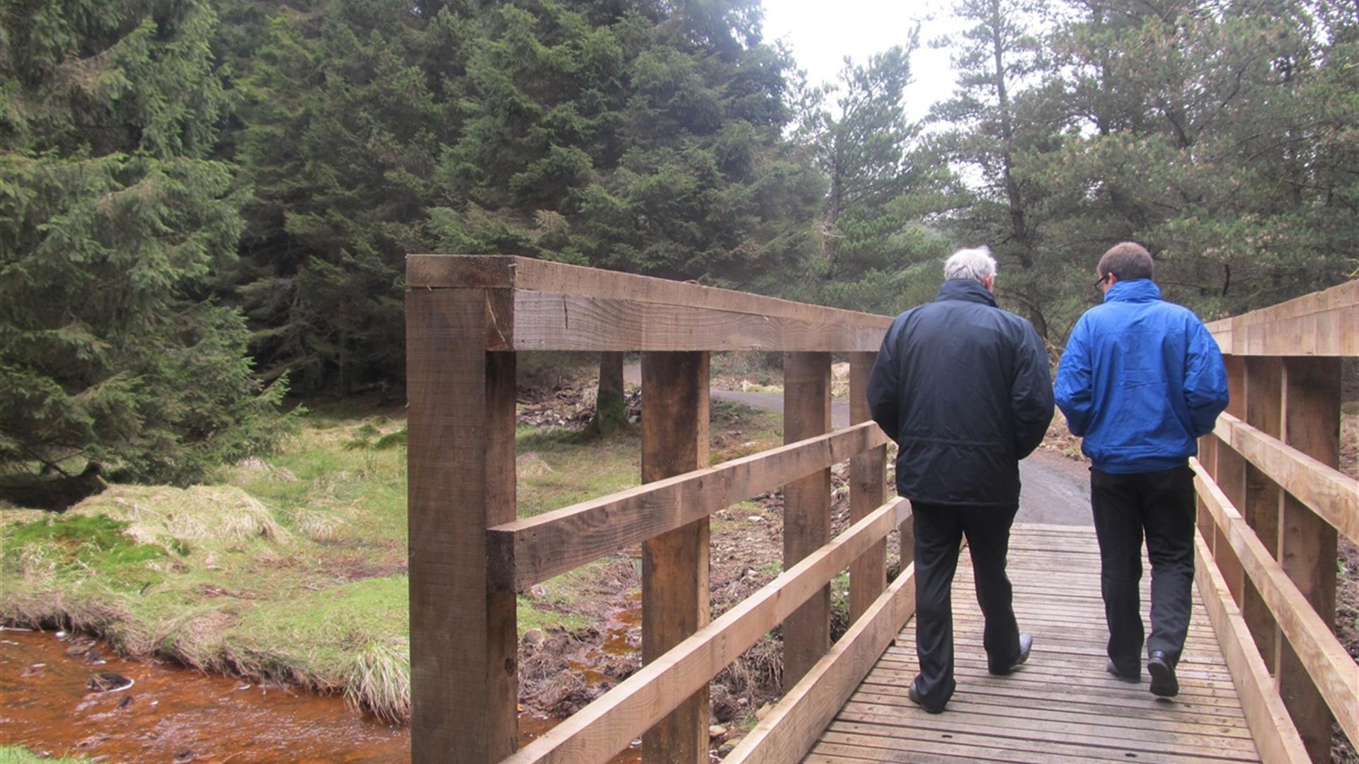 Davagh Forest Walking Route