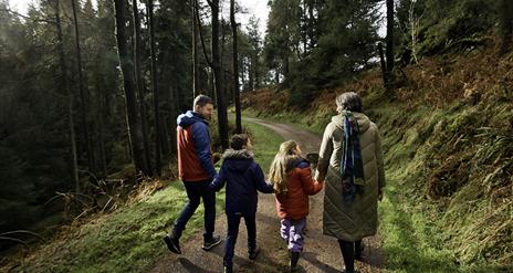 Family Walking through a forest