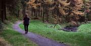 A woman walking along a path in Davagh Forest.