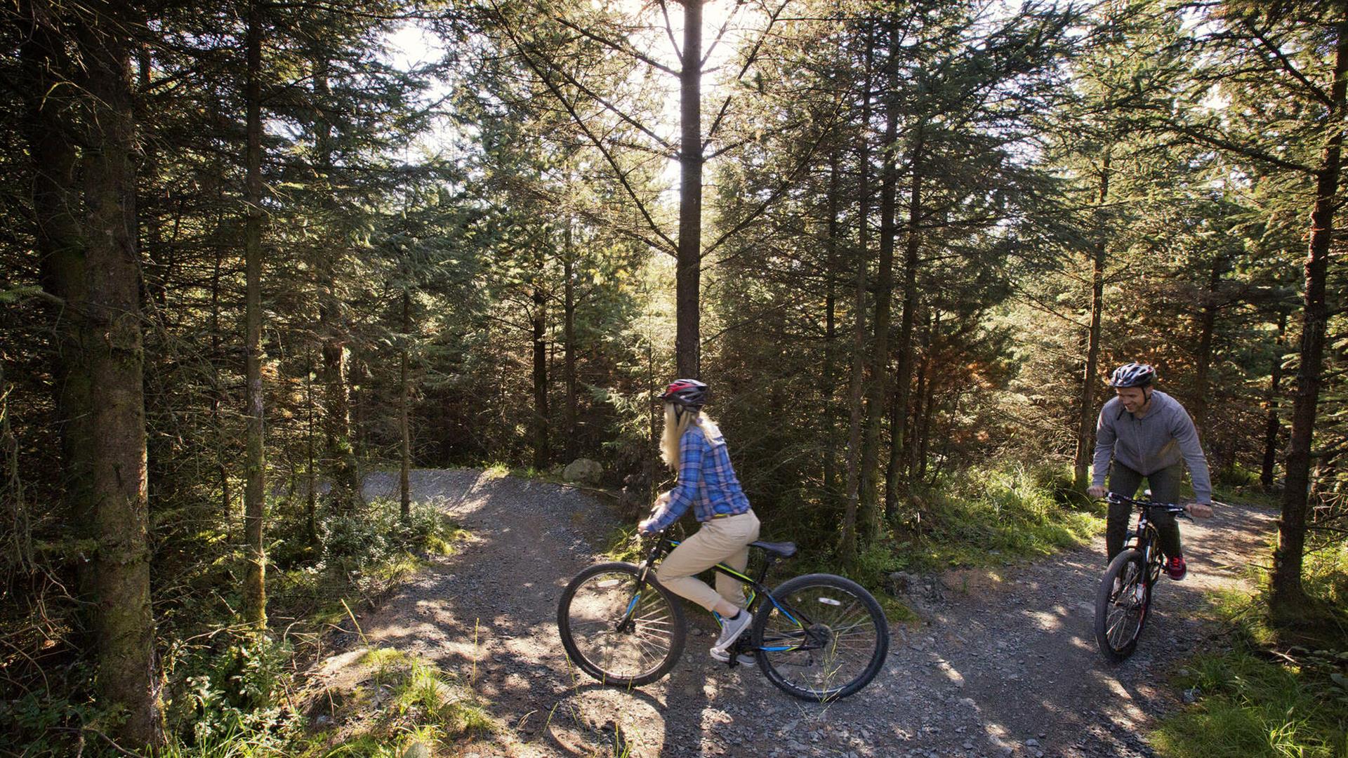 Davagh Forest Trails