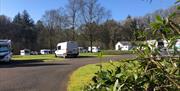 Caravan and Campsite in Drum Manor Forest Park