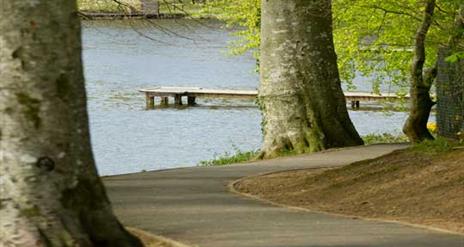 Image of the path and lake in Dungannon Park
