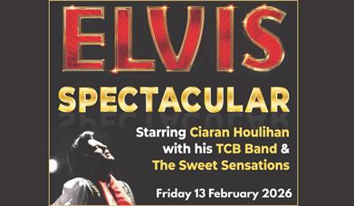 elvis spectacular