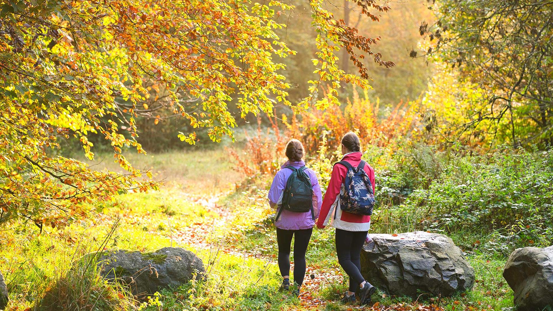 Women walking through the forest with backpacks