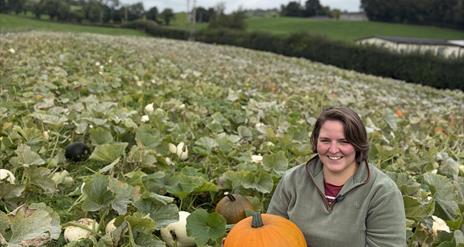 Image of a woman holding a pumpkin in a pumpkin patch