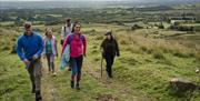 Group setting off on a walk in the countryside with Cathy ONeill of The Emigrants Walk experience