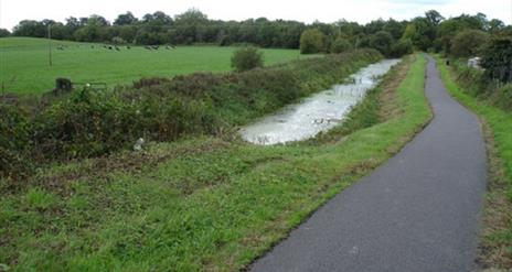 Image of the path by Coalisland Canal