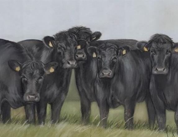 Pastel Painting of line of black cows standing on grass