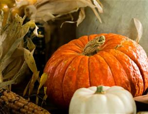 An image of a pumpkin sitting again a cart at the Halloween at Montalto event.