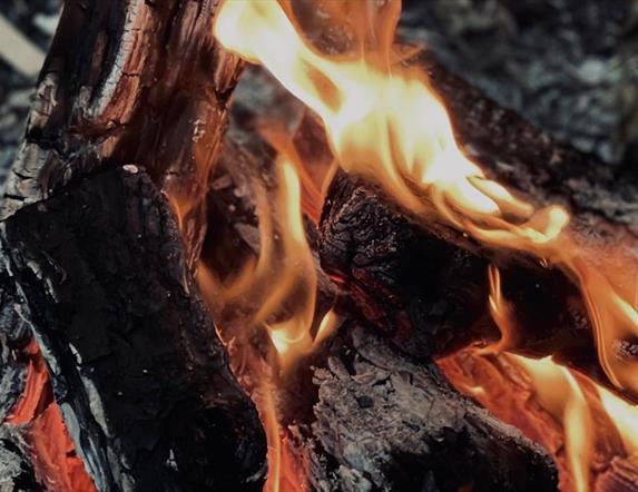 Finnebrogue Fire