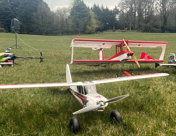 Model aeroplanes in a field