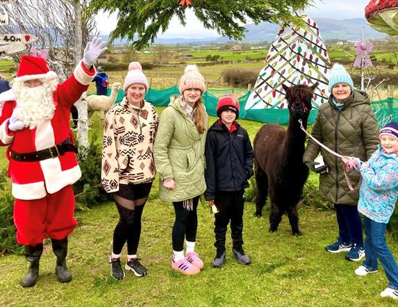 cranfield alpacas Christmas fest event
