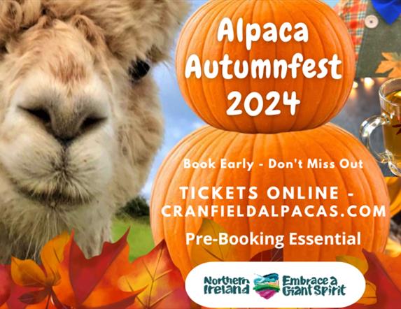 Cranfield Alpacas Autumn