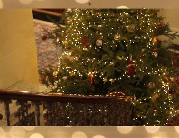 Christmas Tree in Montalto House