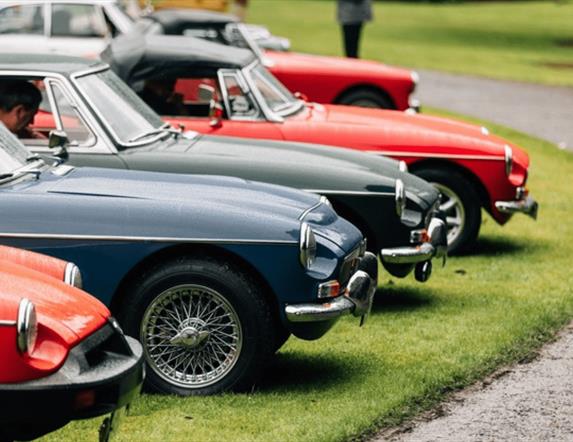 image of 5 Classic Cars parked at Montalto