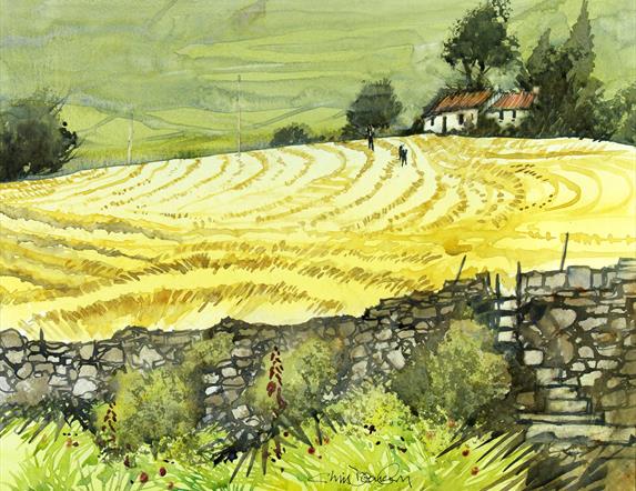 Watercolour image of a rural County Down landscape. Visible in the foreground is a stone fence, and behind is a field  of a yellow colour with marks i