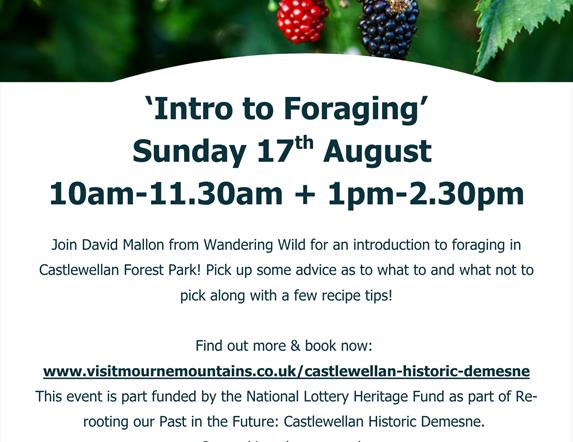 Intro to foraging