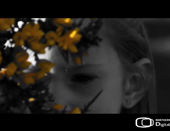 Gorseflower and black and white