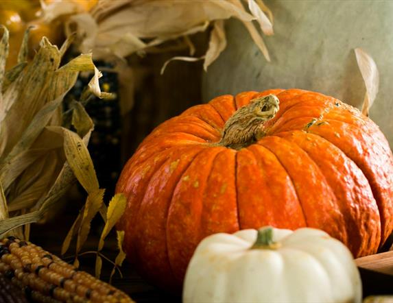 Pumpkins for Halloween Bazaar at Montalto