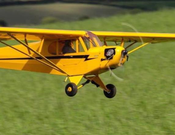 Model aeroplanes sitting on the grass ready to fly.