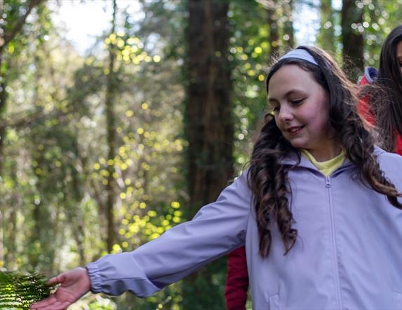 A girl walking through the forest and running her hands over the ferns along the path.