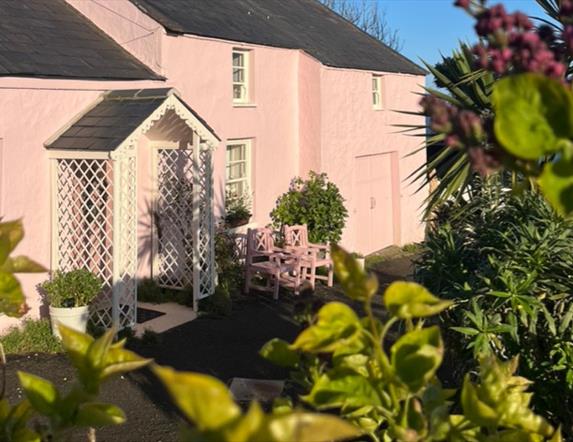 The Pink House