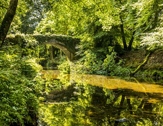 Mourne Park image of water surrounded by lush greenery and bridge