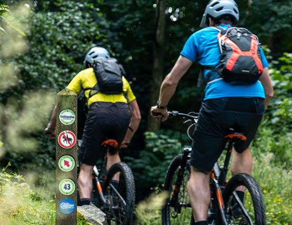 Electric Mountain Biking Castlewellan Forest Park