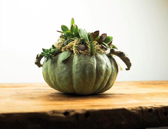 Pumpkin Succulent Planters