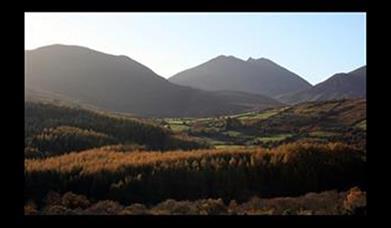 Tory Bush Cottages- No.6