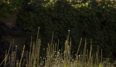 Rowallane Garden, Saintfield