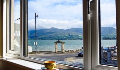 View from living room window