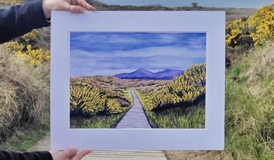 Painting of Mourne mountains from Murlough Nature reserve, within image of Mourne Mountains from Murlough Nature Reserve